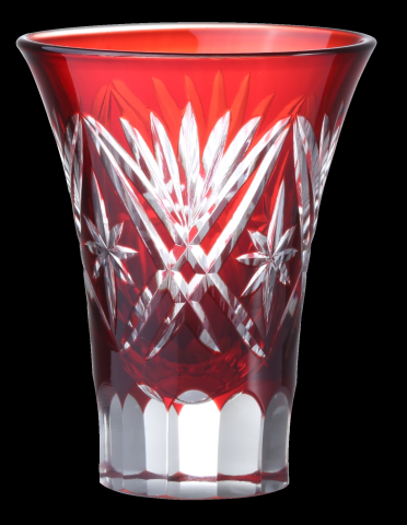 �y���������z�y�؎q�t�@���ԁz�y1��������z492R�@60cc