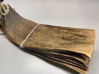 �y���������z���Y�̓V�R�|��(���Օi)�@�卆60~64.5cm�����@��24cm��