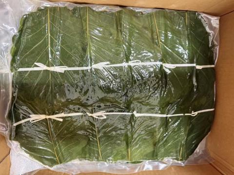 �y���������z���t�O���[���l (3000������j