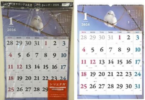 【送料無料】2026年 壁掛けカレンダー　はっきり見やすいデカ文字（A2）　シマエナガ　個包装